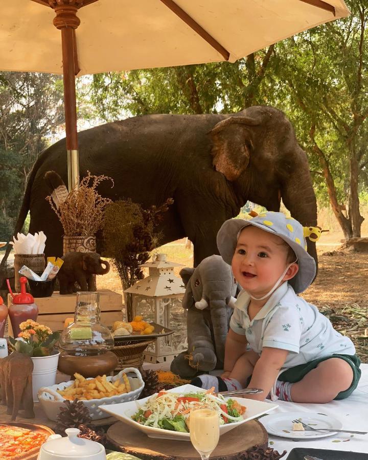 Sappraiwan Elephant Resort & Sanctuary Kaengsopha Экстерьер фото