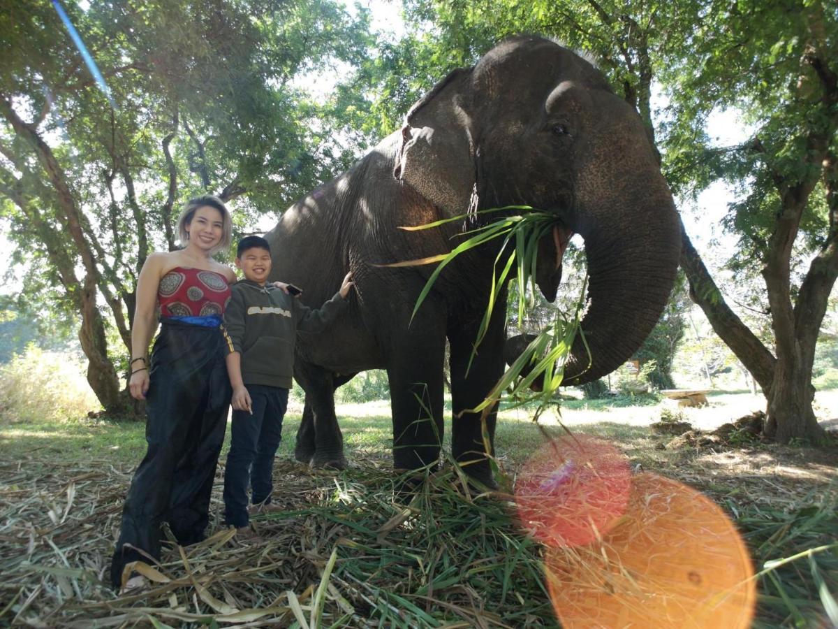 Sappraiwan Elephant Resort & Sanctuary Kaengsopha Экстерьер фото